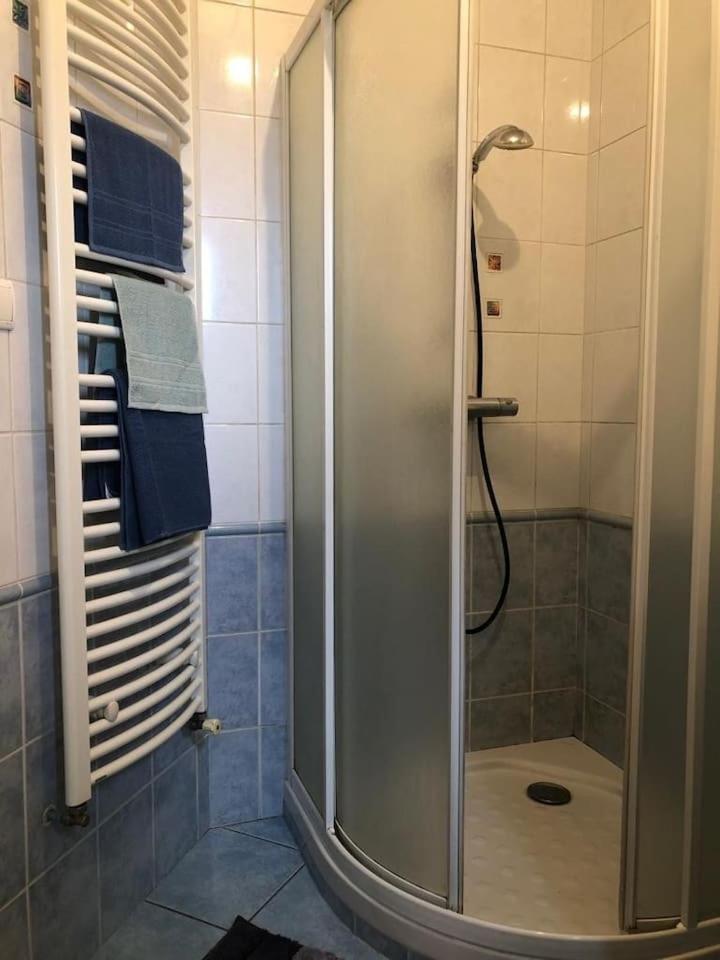 Appartement Cosy Saint-Etienne  Ngoại thất bức ảnh